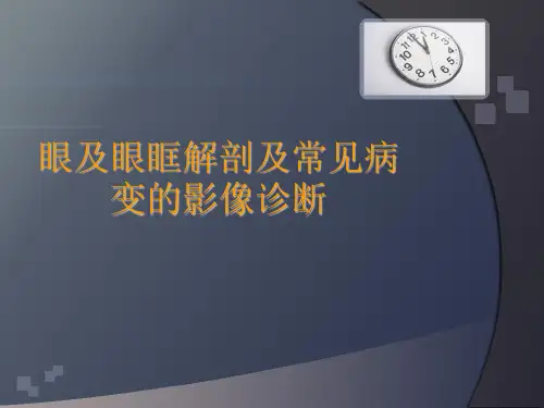 眼与眼眶解剖与常见病变影像诊断