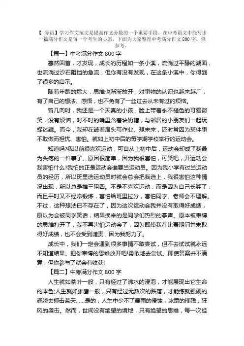中考满分作文800字十篇