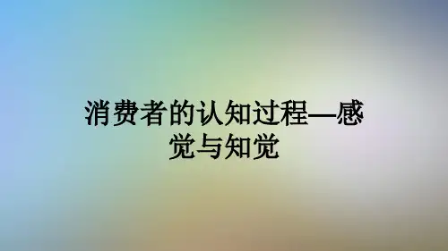 消费者的认知过程—感觉与知觉