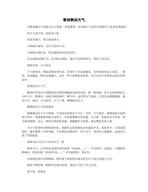 看动物识天气
