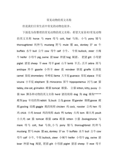 常见动物的英文名称