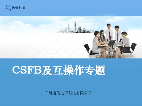 CSFB及互操作专题V1资料