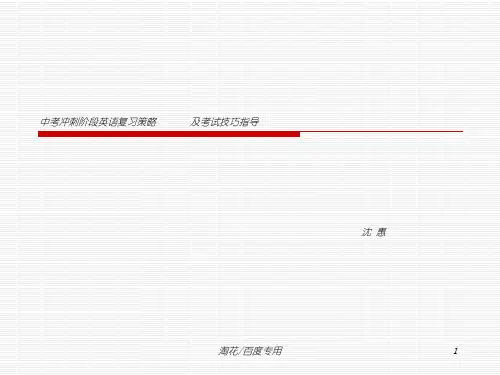 中考冲刺阶段英语复习策略及考试技巧指导