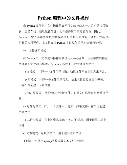 Python编程中的文件操作
