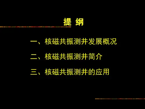 核磁共振测井技术CMR及应用