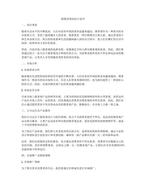 做微景观创业计划书