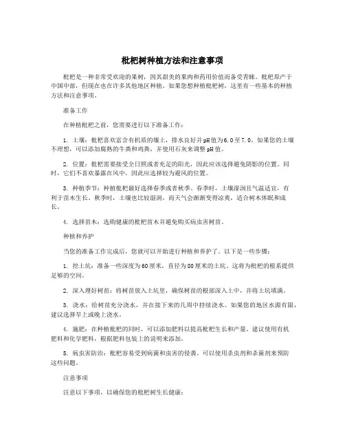 枇杷树种植方法和注意事项