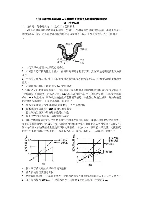 2020年湖北联考-高三生物试卷