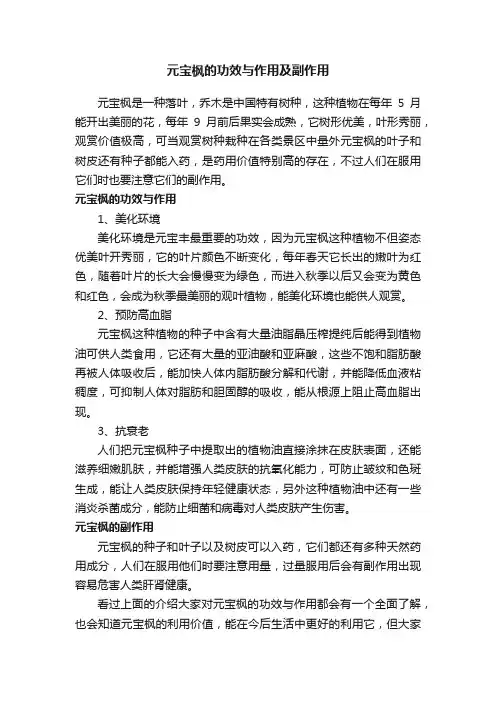 元宝枫的功效与作用及副作用