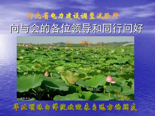 循环流化床锅炉课件调试及运行课件