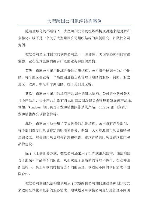 大型跨国公司组织结构案例