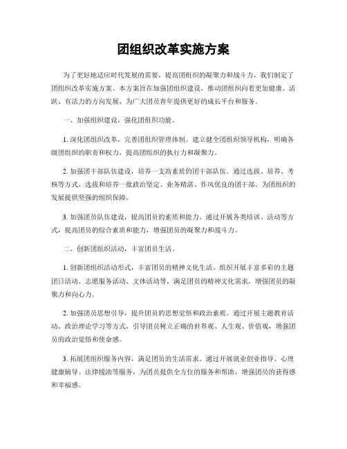 团组织改革实施方案