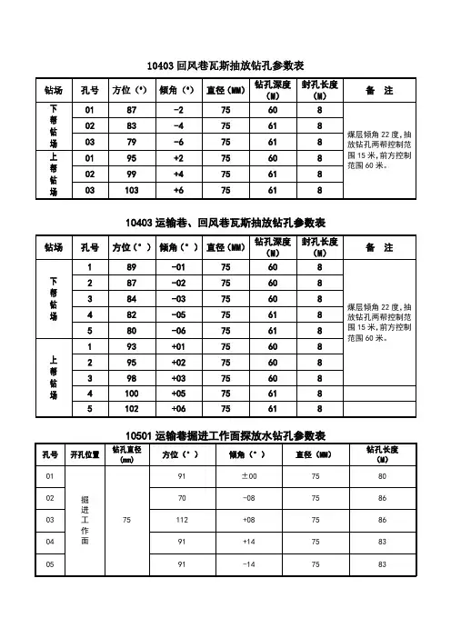 瓦斯抽放钻孔参数表