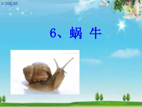 蜗牛