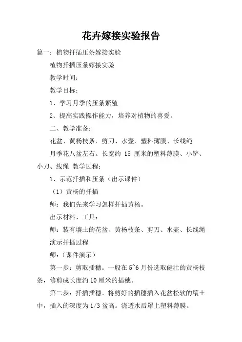 花卉嫁接实验报告doc