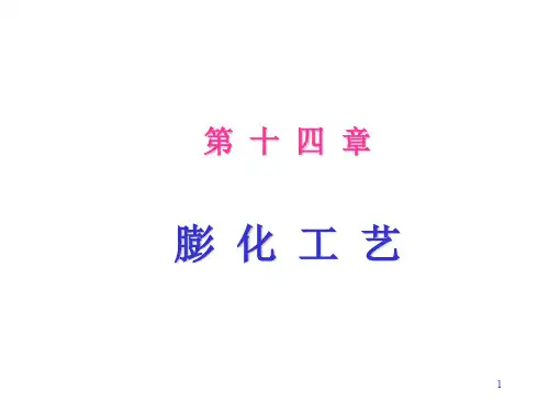 第十四章-膨化工艺PPT幻灯片课件