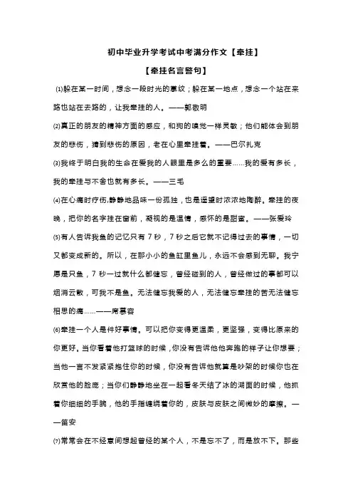 初中毕业升学考试中考专题作文主题【牵挂】例文范文参考8篇