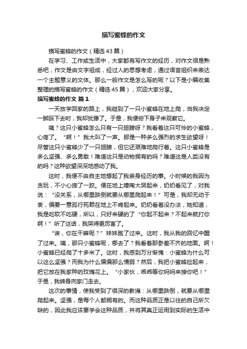 描写蜜蜂的作文（精选43篇）