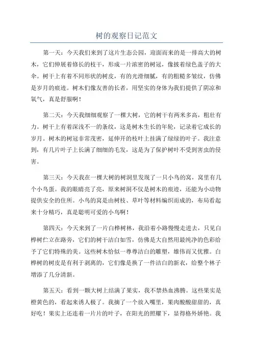 树的观察日记范文