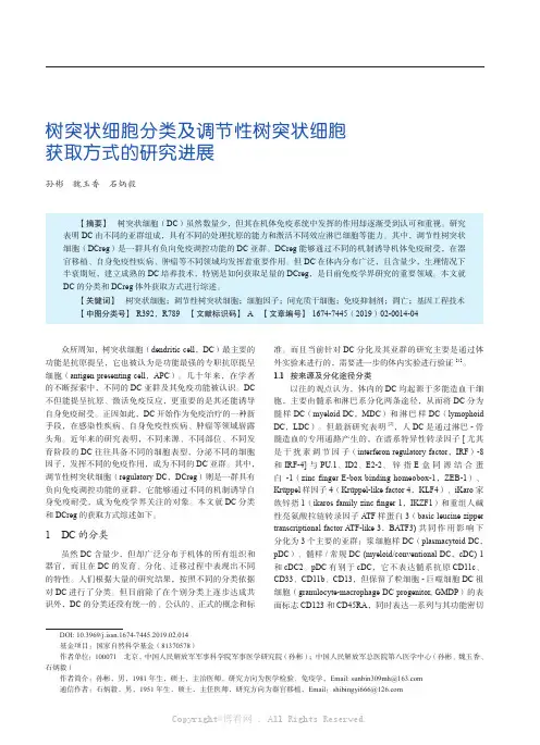 树突状细胞分类及调节性树突状细胞获取方式的研究进展