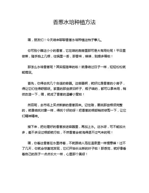 香葱水培种植方法