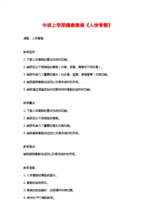 中班上学期健康教案《人体骨骼》
