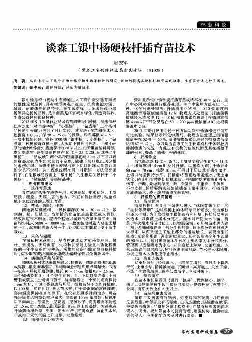 谈森工银中杨硬枝扦插育苗技术