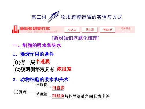 2014高考生物一轮复习高频考点通关讲练：2.3物质跨膜运输的实例与方式