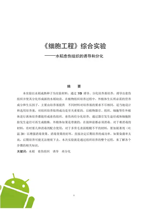 细胞实验报告