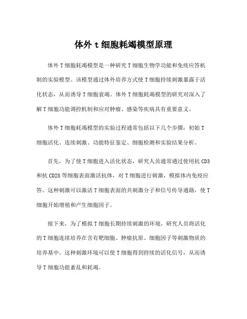 体外t细胞耗竭模型原理