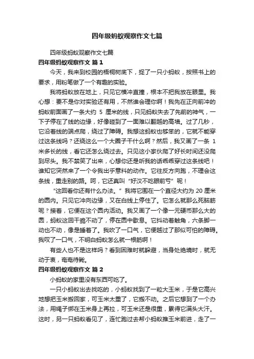 四年级蚂蚁观察作文七篇