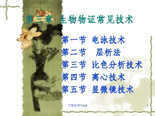 《生物物证常见技术》PPT课件