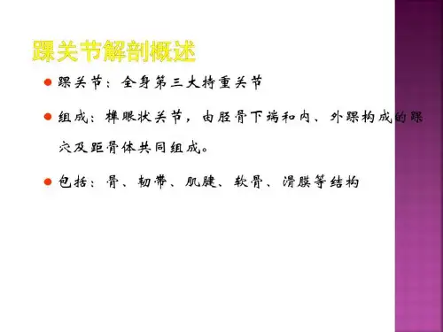 踝关节查体及影像学检查行业荟萃.ppt