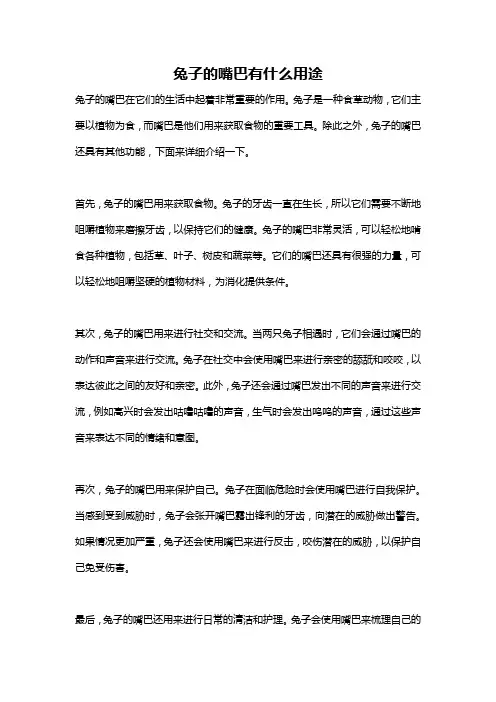 兔子的嘴巴有什么用途