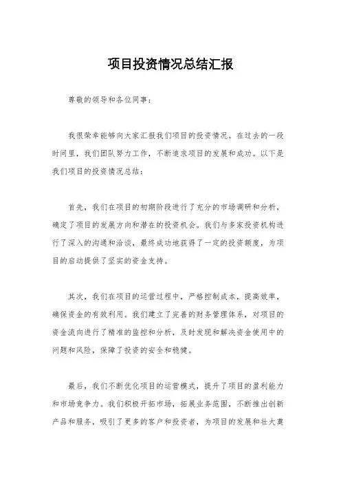 项目投资情况总结汇报