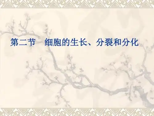 七年级生物《细胞的分裂和分化》