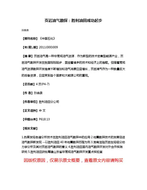 页岩油气勘探：胜利油田成功起步