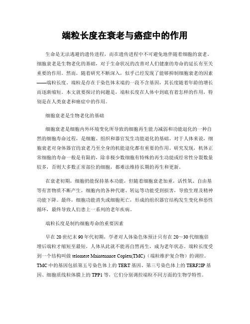 端粒长度在衰老与癌症中的作用