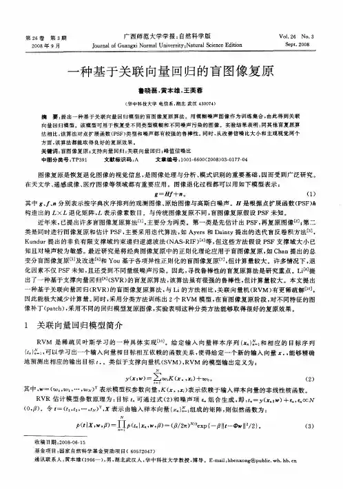 一种基于关联向量回归的盲图像复原