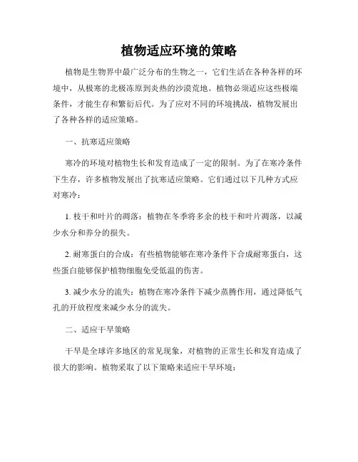 植物适应环境的策略