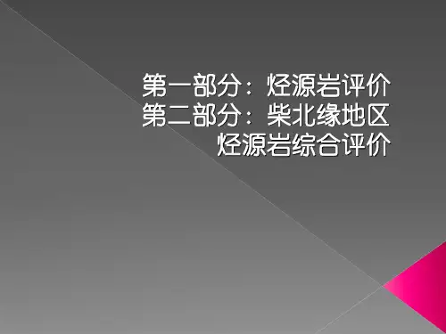 烃源岩评价答辩