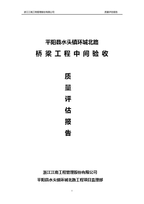 桥梁质量评估报告
