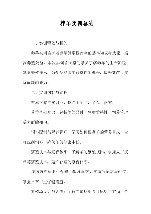 养羊实训总结