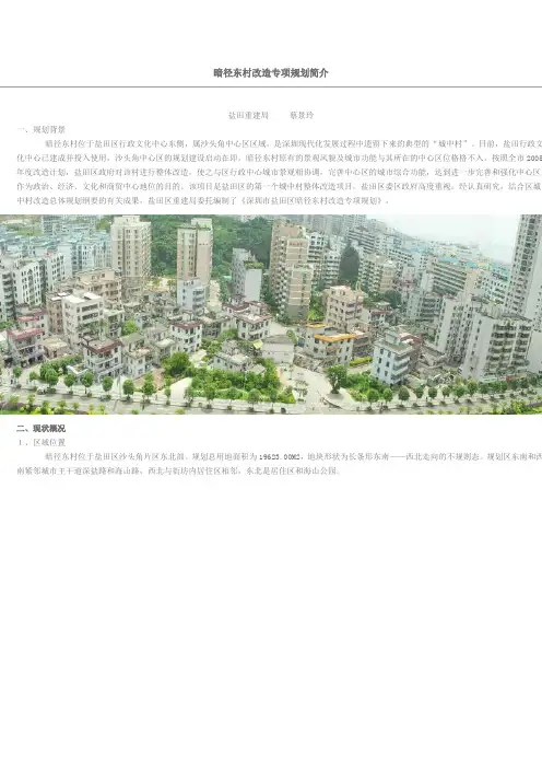 暗径东村改造专项规划简介