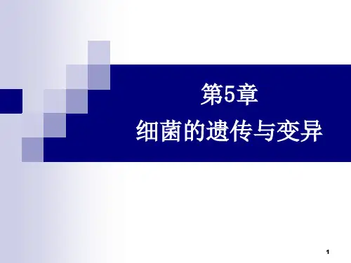 05细菌的遗传与变异