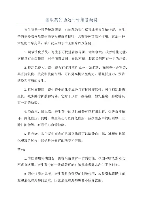 寄生茶的功效与作用及禁忌