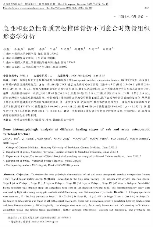 急性和亚急性骨质疏松椎体骨折不同愈合时期骨组织形态学分析