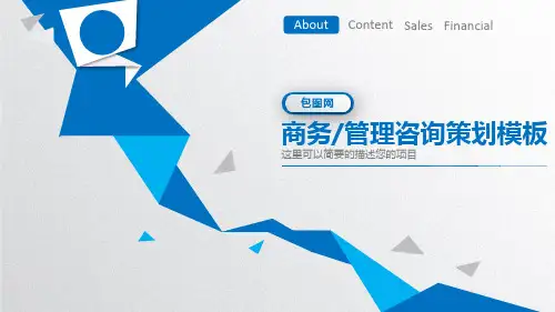 商务管理咨询策划PPT模板