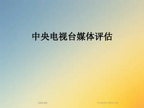 中央电视台媒体评估