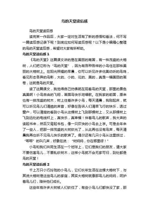 鸟的天堂读后感